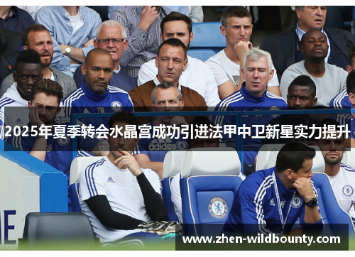 2025年夏季转会水晶宫成功引进法甲中卫新星实力提升 2025年夏季转会水晶宫成功引进法甲中卫新星实力提升