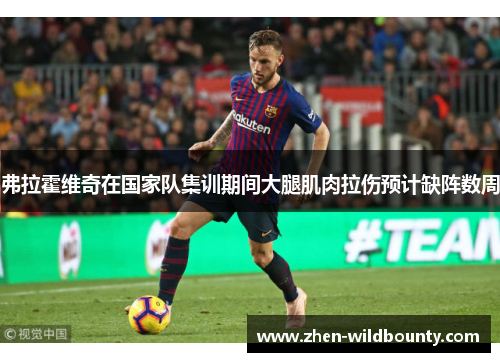 弗拉霍维奇在国家队集训期间大腿肌肉拉伤预计缺阵数周