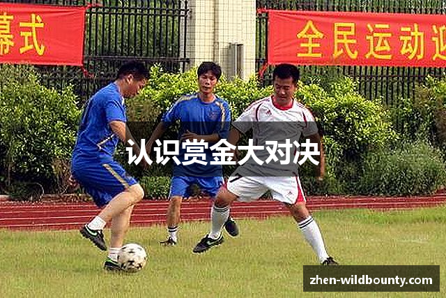 认识赏金大对决